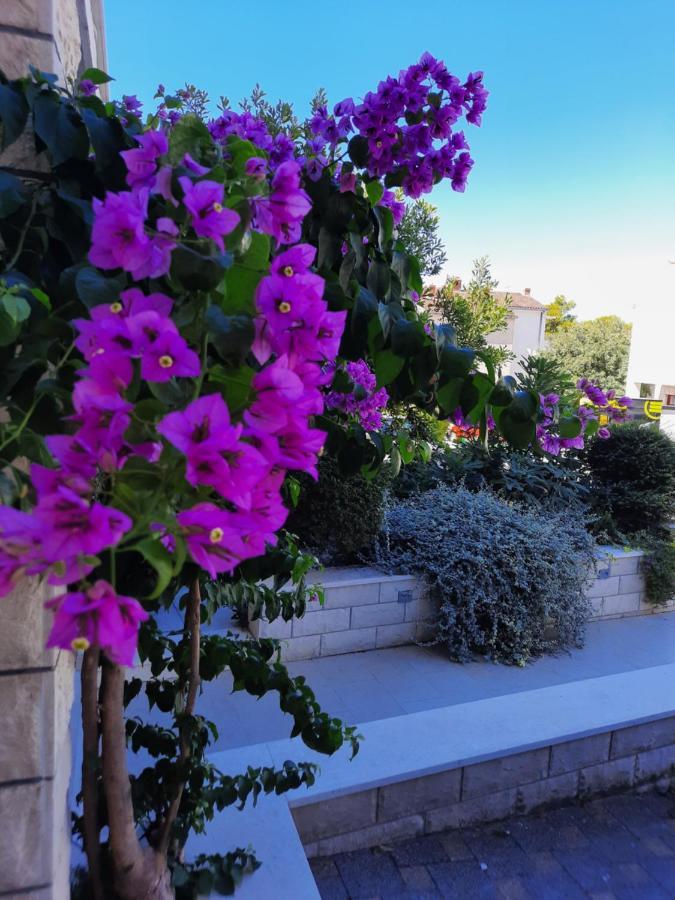 Sweet Blue Daire Baška Voda Dış mekan fotoğraf